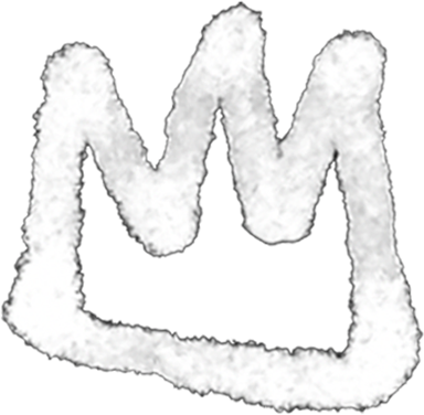 Drone Supremacy logo