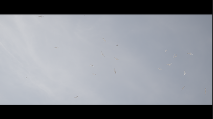 Absolute Movie SLOG-3 PowerGrade (Davinci Resolve)