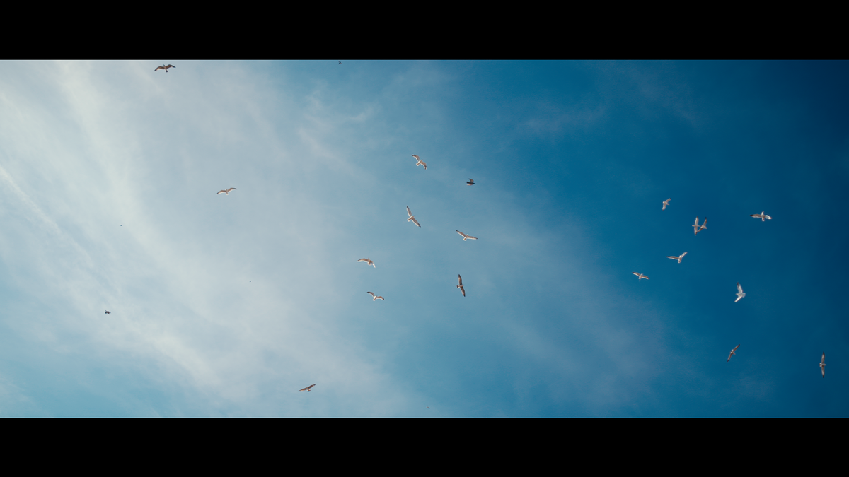 Absolute Movie SLOG-3 PowerGrade (Davinci Resolve)