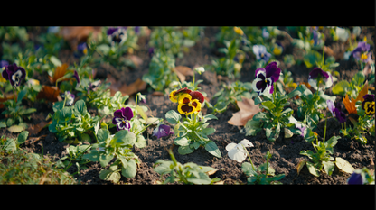 Absolute Movie SLOG-3 PowerGrade (Davinci Resolve)