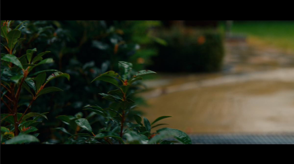Absolute Movie SLOG-3 PowerGrade (Davinci Resolve)