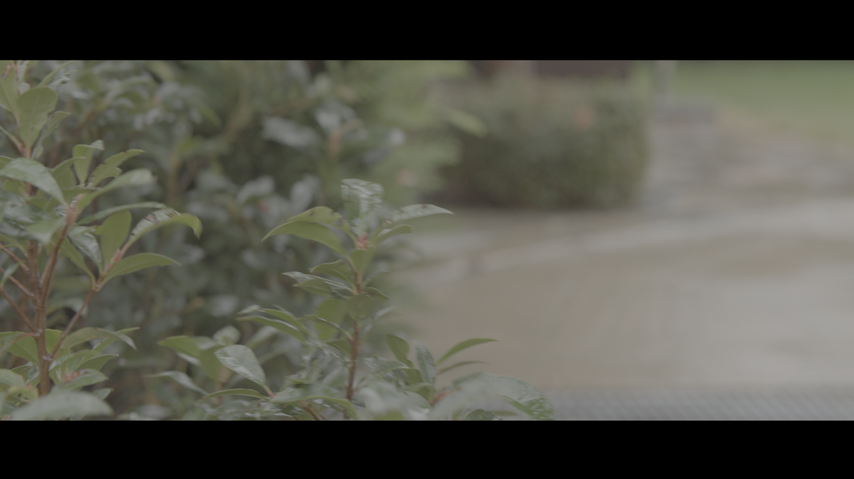 Absolute Movie SLOG-3 PowerGrade (Davinci Resolve)