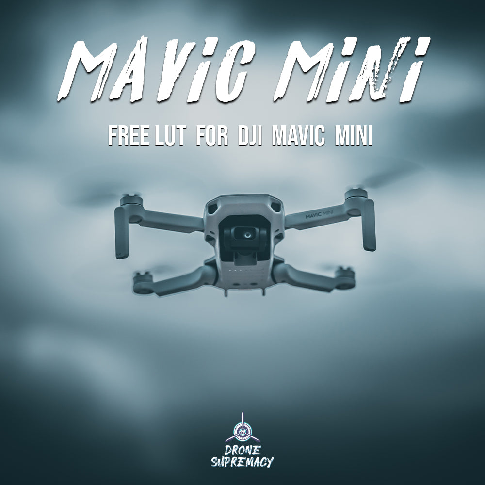 DJI Mavic Mini / Mini 2 LUT